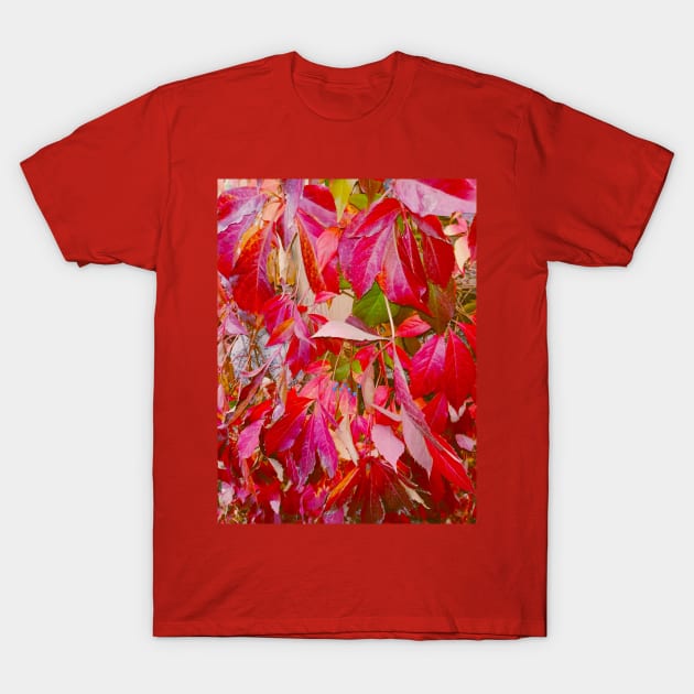 Warm Red Autumn Leaves Vibes Photography T-Shirt by colorful444